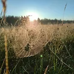 Zakatek Wdzydze -domek Nr 7 W Pierwszej Linii Od Jeziora Ferienhaus *