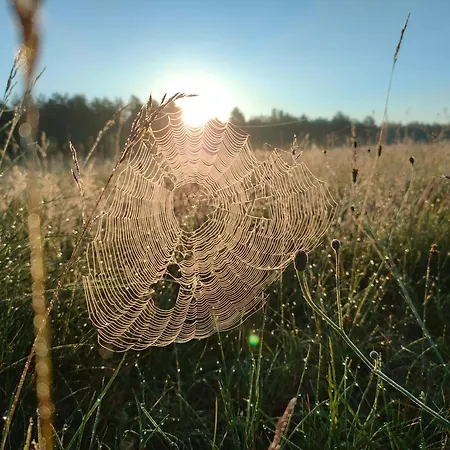 Zakatek Wdzydze -domek Nr 7 W Pierwszej Linii Od Jeziora Hébergement de vacances *