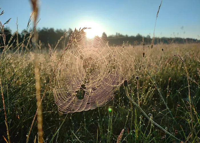 Zakatek Wdzydze -domek Nr 7 W Pierwszej Linii Od Jeziora Дом отдыха *
